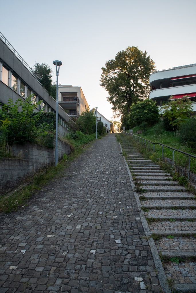 A paved path going up, with small steps and a rail on the right. There are low-rise buildings on each side and a tree in the background.