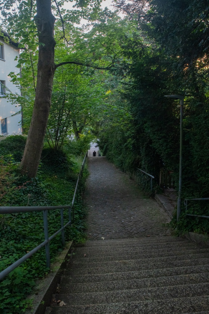 A paved path with stairs and metallic railings between trees. A 4-story building is visible behind the trees.