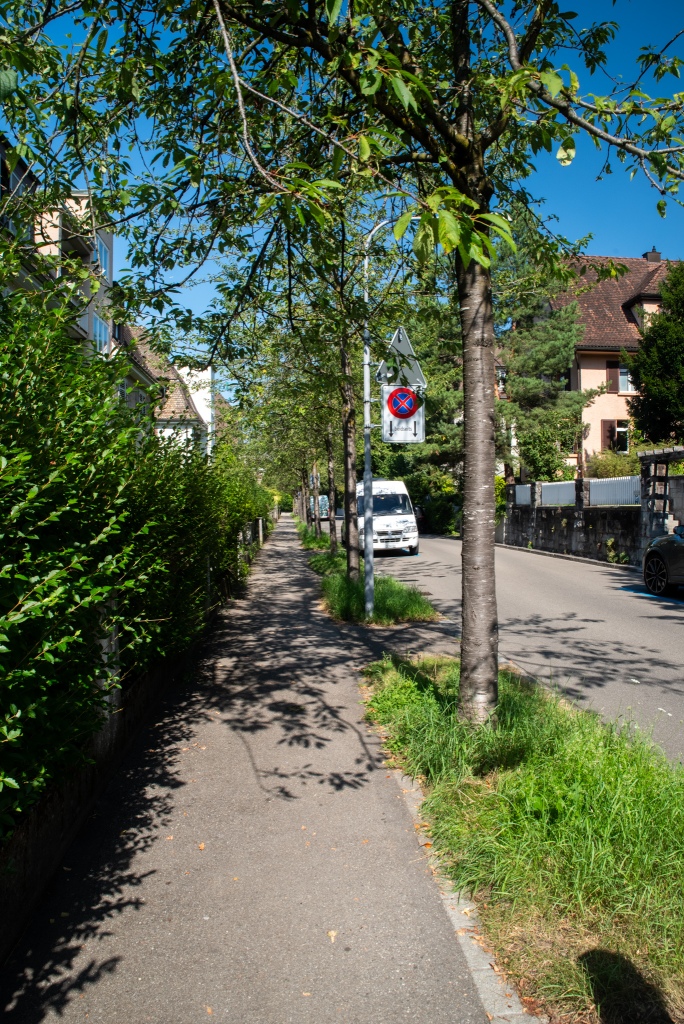 A residential street with a footpath separated from the street by grass and trees. A few 3-story buildings are visibles behind fences and hedges.
